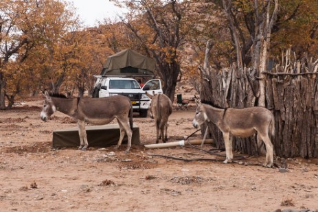 Esel vor Dusche im Aaabdi Mountain Camp 