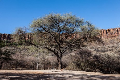 Waterberg Plateau Park 