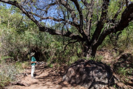 Waterberg Plateau Park 