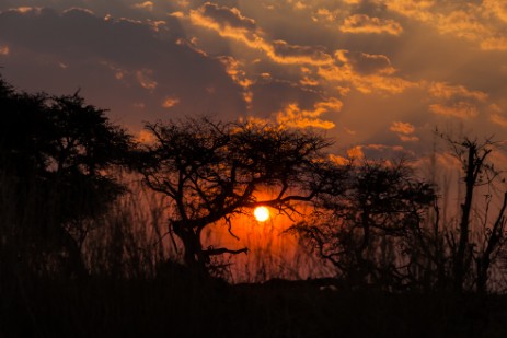 Sonnenuntergang bei Bootstour mit Dan auf Kwando