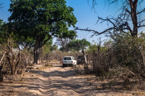 Piste im Bwawata Nationalpark