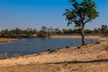 Horseshoe im Bwawata Nationalpark