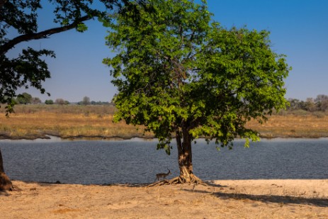 Horseshoe im Bwawata Nationalpark