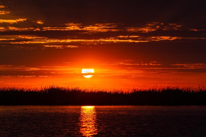 Sonnenuntergang am Chobe