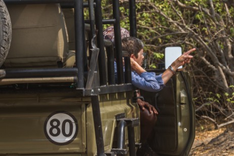 Game Drive-Fahrzeug im Chobe Nationalpark