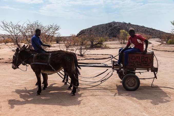 Rundfahrt mit Eselskarren bei Damara Living Museum