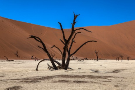 Deadvlei im Nambi Naukluft NP