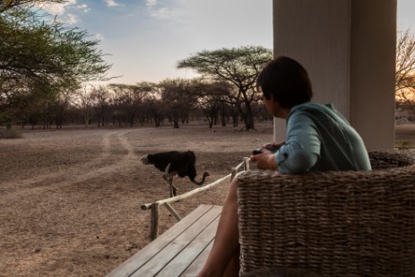 Strauß am Wasserloch der Emanya@Etosha Lodge