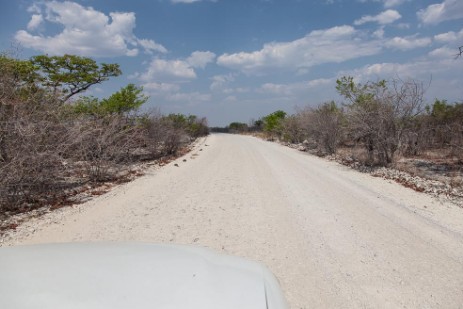 Piste im Etosha NP