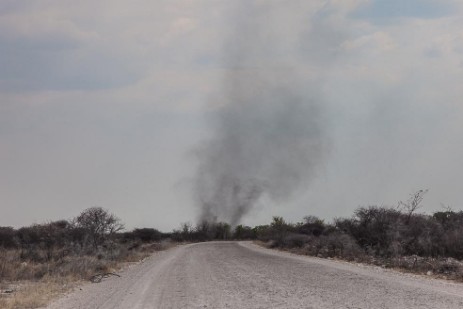 Minitornado im Etosha NP