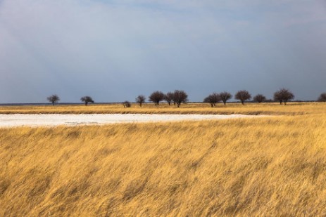 Landschaft im Etosha Nationalpark