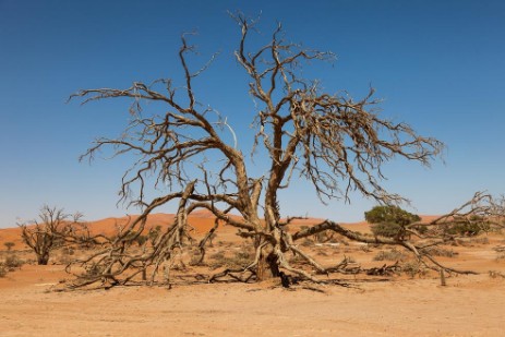 Fahrt nach Sossusvlei Namib Naukluft NP