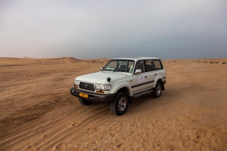 Living Dessert Tour mit Steve bei Swakopmund 