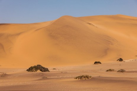 Living Dessert Tour bei Swakopmund 