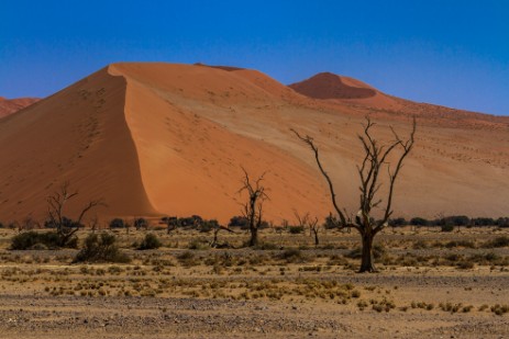 Dünen bei Sesriem in Namib
