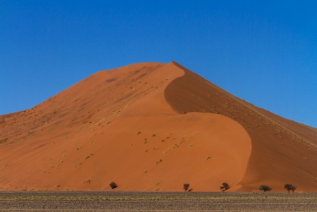 Deadvlei im Nambi Naukluft NP