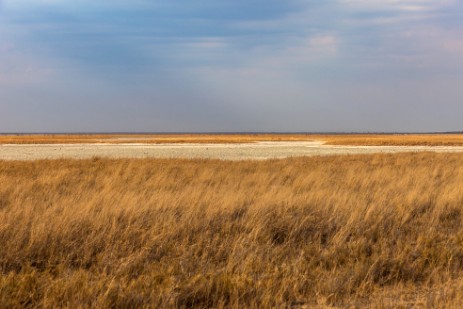 Landschaft um Namutoni bei Wettersturz 