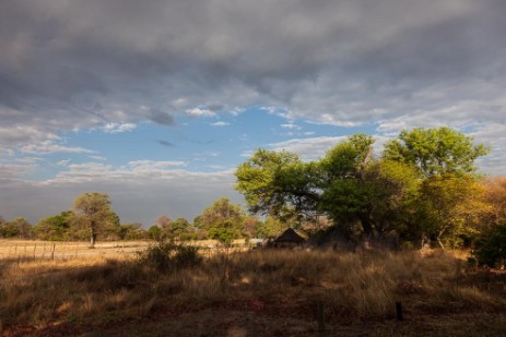 Landschaft bei Ngepi Camp