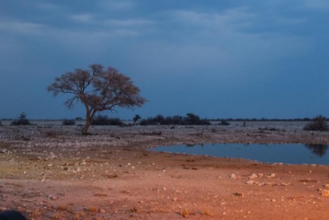 Gewitterstimmung am Wasserloch in Etosha NP